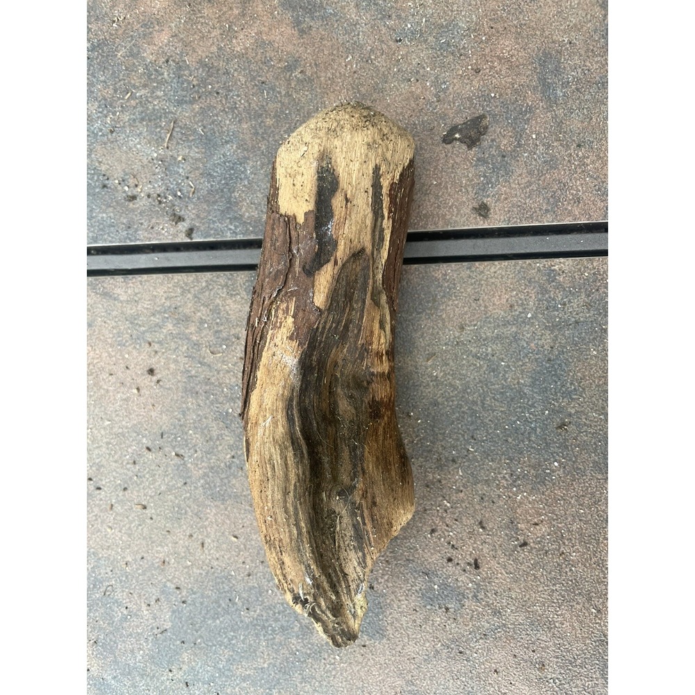 Natural Driftwood for Plants Terrarium‎ Taxidermy Art Projects